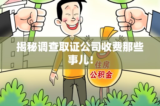 进贤揭秘调查取证公司收费那些事儿！