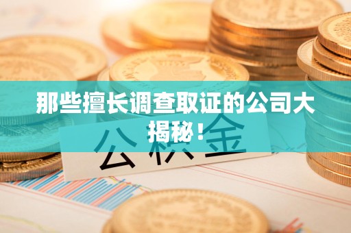 进贤那些擅长调查取证的公司大揭秘！