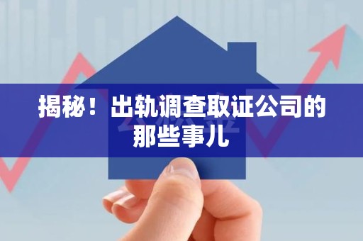 进贤揭秘！出轨调查取证公司的那些事儿