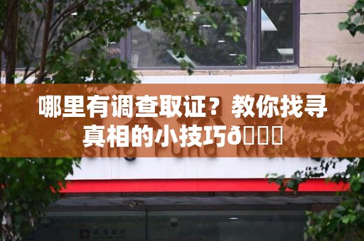 进贤哪里有调查取证？教你找寻真相的小技巧😎