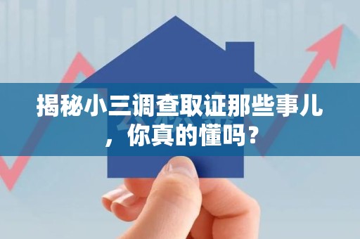 进贤揭秘小三调查取证那些事儿，你真的懂吗？