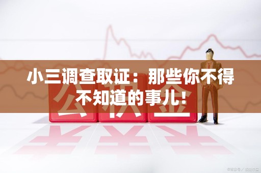进贤小三调查取证：那些你不得不知道的事儿！