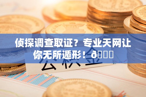 进贤侦探调查取证？专业天网让你无所遁形！😎
