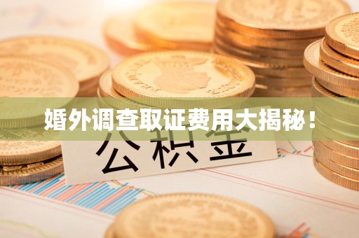 进贤婚外调查取证费用大揭秘！