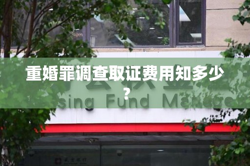 进贤重婚罪调查取证费用知多少？