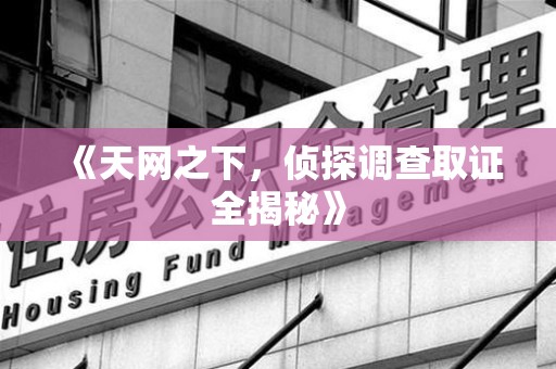 进贤《天网之下，侦探调查取证全揭秘》