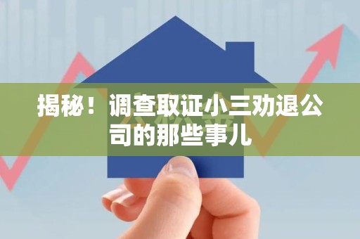 进贤揭秘！调查取证小三劝退公司的那些事儿