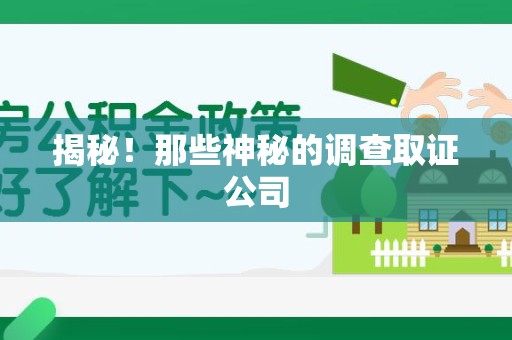 进贤揭秘！那些神秘的调查取证公司