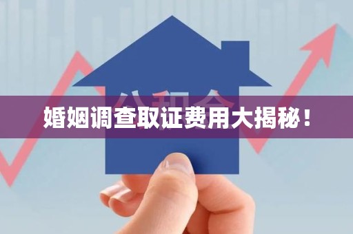 进贤婚姻调查取证费用大揭秘！