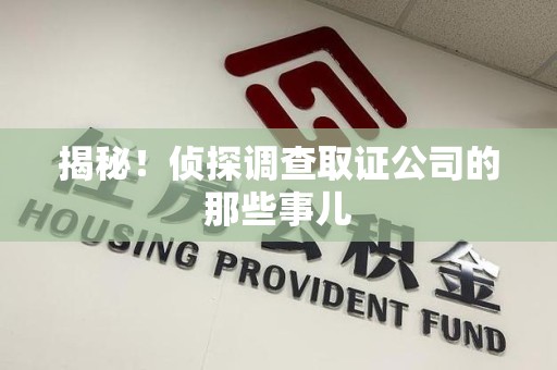 进贤揭秘！侦探调查取证公司的那些事儿