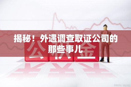 进贤揭秘！外遇调查取证公司的那些事儿