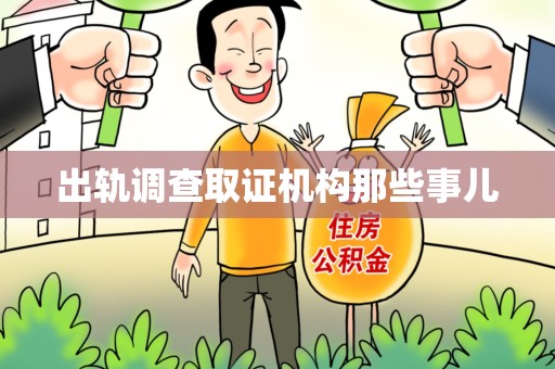 进贤出轨调查取证机构那些事儿