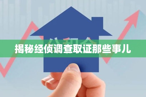 进贤揭秘经侦调查取证那些事儿