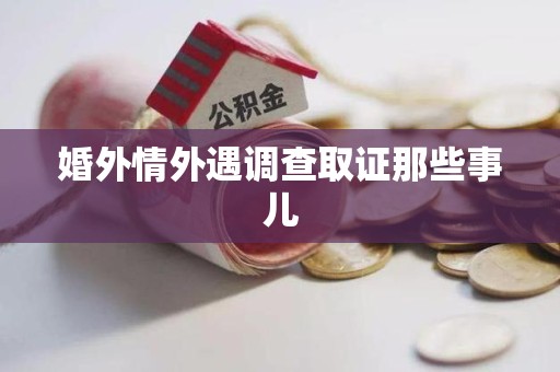 进贤婚外情外遇调查取证那些事儿