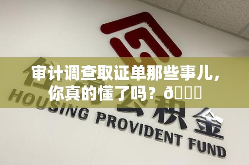 进贤审计调查取证单那些事儿，你真的懂了吗？😎