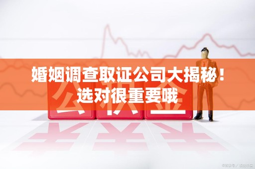 进贤婚姻调查取证公司大揭秘！选对很重要哦